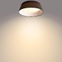 Kruhová - PH 8718699777395 DAWN SVÍTIDLO STROPNÍ LED 14W 1100lm 3000K, černá - PHILIPS (929002515001) - foto 4