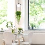 Dekorativní - ZUMA 002177-026163 5003 PLANT 1 závěsné svítidlo - ZUMALINE - foto 4