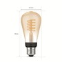 SmartHome Paul Neuhaus - PH 8719514301467 Hue Bluetooth LED White Ambiance filamentová žárovka Philips 8719514301467 E27 ST64 7W 550lm 2200-4500K černá, stmívatelná - PHILIPS (929002477701) - foto 4