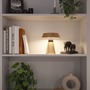 Stolní lampy dekorační - P 77061 Nabíjecí bateriové svítidlo Lirox IP44 CCT šampaň/černá - PAULMANN - foto 4