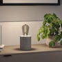 E27 - P 29243 Rustic Shine Standard 230V LED žárovka E27 Filament S-Form 4,2W 1800K stmívatelné kouřové sklo - PAULMANN - foto 4
