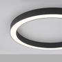 Kruhová - PN 6309-13 Paul Neuhaus LED stropní svítidlo PURE-LINES 50cm stmívatelné CCT 2700-5000K antracit - PAUL NEUHAUS - foto 4