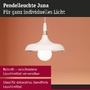 Kónická - P 78484 Závěsné svítidlo Juna E27 max. 20W šampaň/bílá mat stmívatelné kov - PAULMANN - foto 4