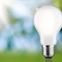 E27 - P 29258 Eco-Line Filament 230V LED žárovka E27 8,2W 3000K stmívatelné mat - PAULMANN - foto 4