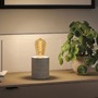 E27 - P 29242 Rustic Shine Standard 230V LED žárovka E27 Filament S-Form 4,2W 1800K stmívatelné zlatá - PAULMANN - foto 4