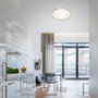 Kruhová - BRI 7363-019 VÝPRODEJ Svítidlo LED panel, pr. 42,5 cm, 3000 lm, 22 W, hliník - BRILONER - foto 4