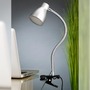 Stolní lampy s klipem - BRI 2615-014P LED svítidlo se svorkou 28,5 cm 2,5W 250lm titan - BRILONER - foto 4