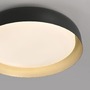 Kruhová - LD 14216-18 OSKO LED stropní svítidlo průměr 57 černá / zlatá stmívatelné dálkovým ovladačem CCT 2700-5000K - JUST LIGHT - foto 4