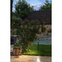 Zápichy - LA 1007868 HELIA SLIM Pole Single LED, venkovní stojací lampa, černá IP65 3000K - BIG WHITE (SLV) - foto 4