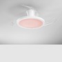 Ventilátory - FAN LED-CONDOR-BCO Stropní svítidlo Condor bílý LED ventilátor 40 W, 4050 lm, CCT stmívatelné s RGB, digitální ovládání s RF dálkovým ovladačem, 24 - FANEUROPE - foto 4