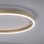 Kruhová - LD 15391-60 RITUS LED stropní svítidlo, matná mosaz, kruhové, pr.40cm, stmívatelné, Switchmo, teplá bílá krokově stmívatelné 3000K - LEUCHTEN DIREKT / JUST LIGHT - foto 4