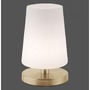 Stolní lampy dekorační - PN 4146-60 SONJA LED stolní lampa v matné mosazi s decentním podlouhlým stínítkem na lampu 3000K - PAUL NEUHAUS - foto 4
