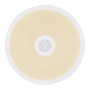 Kruhová - GLO 41366W RAFFY 41366W Stropní svítidlo - GLOBO - foto 4