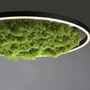 Kruhová - LD 15392-66 GREEN RITUS LED stropní svítidlo 60x60 islandský mech Moos Switchmo 3 krokové stmívání 3000K akustické - LEUCHTEN DIREKT / JUST LIGHT - foto 4