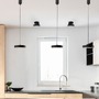 Bodová - RED R14422X VÝPRODEJ VZORKU - ARETHA přisazená černá 230V LED 12W 3000K - RED - DESIGN RENDL - foto 4