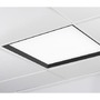 LED panely - KHL K50502.BL.OP.4K.DA WINNER LED panel modrá 4000K opál DALI 37W čtverec - KOHL-Lighting - foto 4