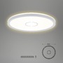 Kruhová - BRI 3391-014 Slim svítidlo LED panel, pr. 29,3 cm, 2400 lm, 18 W, stříbrná - BRILONER - foto 4