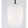 Koule - NV 9624073 Závěsné svítidlo LATO černý kov a opálové sklo E27 1x12W 230V IP20 bez žárovky - NOVA LUCE - foto 4