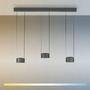 Kruhová - PN 2473-15 LED závěsné svítidlo PURE Clipse, šedá, dálkový ovladač, Comfort Lift, paměťová funkce 2200-5000K - PAUL NEUHAUS - foto 4