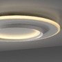 Kruhová - PN 6503-16 LED závěsné svítidlo Q-KALINA bílá stmívatelné Smarthome s aplikací ZigBee RGB/2700-5000K - PAUL NEUHAUS - foto 4