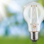 E27 - P 29250 Eco-Line Filament 230V LED žárovka E27 2,5W 3000K stmívatelné čirá - PAULMANN - foto 4