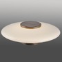 Kruhová - PN 6082-34 LED nástěnné a stropní svítidlo PURE Vitrum 2700K hnědá / opál - PAUL NEUHAUS - foto 4