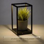 Stolní lampy dekorační - PN 4401-18 CONTURA LED stolní lampa, černá, teplá bílá, stmívatelné, do interiéru 3000K - PAUL NEUHAUS - foto 4