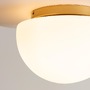 Kruhová - M MOD270CL-01G Stropní svítidlo Glassy E27 60W opálové sklo zlatá kov - MAYTONI - foto 4
