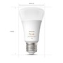 SmartHome Paul Neuhaus - PH 8719514328389 Hue Bluetooth LED White and Color Ambiance set 3ks žárovek Philips 8719514328389 E27 A60 3x6,5W 3x800lm 2000-6500K RGB bílé stmívatelné - PHILIPS (929002489603) - foto 4