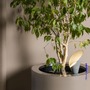Zápichy - FARO 70233 LEAF lampa se zápichem, šedá - FARO - foto 4