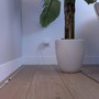 Příslušenství pro LED pásky - PH 8721103043795 Hue Flux SL PSU prodlužovací kabel 1ks - PHILIPS - foto 4