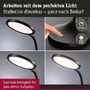 Stolní lampy pracovní - P 78017 LED stolní lampa na psací stůl Mejan 4000K 15W černá mat - PAULMANN - foto 4