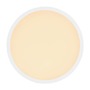 Kruhová - GLO 41562-24W SAPANA 41562-24W Stropní svítidlo - GLOBO - foto 4