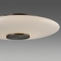 Kruhová - PN 4080-34 LED stolní lampa PURE Vitrum dotykový vypínač 2700K hnědá / opál - PAUL NEUHAUS - foto 4