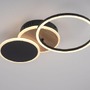 Kruhová - LD 14116-78 SEVENT LED stropní svítidlo kruhové černá s dekorem dřeva nastavitelné moderní 3000K - LEUCHTEN DIREKT / JUST LIGHT - foto 4
