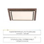 Hranatá - PN 6141-79 PALMA LED stropní svítidlo, imitace dřeva, stmívatelné, dálkový ovladač, CCT 2700-5000K - PAUL NEUHAUS - foto 4