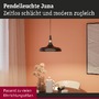 Kónická - P 78481 Závěsné svítidlo Juna E27 max. 20W černá mat/šampaň stmívatelné kov - PAULMANN - foto 4