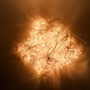 Závěsy a sítě - DLED SC12 Vánoční osvětlení do okna, propojovatelné, hvězdy, 1,2x2m, teple bílá, 50 diod - foto 4