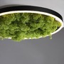 Kruhová - LD 15391-66 GREEN RITUS LED stropní svítidlo 40x40 islandský mech Switchmo 3-krokové stmívání 3000K akustické - LEUCHTEN DIREKT / JUST LIGHT - foto 4