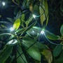 Závěsy a sítě - DLED LWN215 DecoLED LED světelná síť - 2x 1,5 m, ledově bílá, 90 diod - foto 4