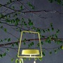 Stolní lampy dekorační - IMPR 346035 Deko-Light stolní lampa hlava pro magnet.svítidla Miram žlutá 3,7V DC 2,20 W 3000 K 196 lm - foto 4