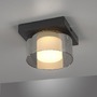 Dekorativní - PN 6162-18 RIKA LED stropní svítidlo 1 ramenné stmívatelné vypínačem SimplyDim 3000K - PAUL NEUHAUS - foto 4