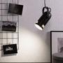 Subtilní - P 79766 VÝPRODEJ VZORKU - Závěsné svítidlo Neordic Lavea 1-ramenné pro osvětlení rostlin černá bez zdroje světla max. 15W E27 - PAULMANN - foto 4