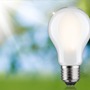 E27 - P 29256 Eco-Line Filament 230V LED žárovka E27 4,3W 3000K stmívatelné mat - PAULMANN - foto 4