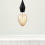 Subtilní - NOR 45643003 Závěsné svítidlo Aud 1x60W E27 černá - NORDLUX - foto 4