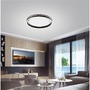 PN 8418-13 Q-VITO, LED stropní svítidlo, Smart Home, průměr 79,4cm ZigBee 2700-5000K - PAUL NEUHAUS - foto 4