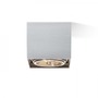 Downlight - RED R10610 DEAN I česaný hliník 230V/12V G53 50W - RED - DESIGN RENDL - foto 4