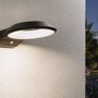 Nástěnná - P 94837 LED venkovní nástěnné svítidlo Anela pohybové čidlo neláká hmyz IP44 245x309mm 2200K 12W 230V antracit hliník - PAULMANN - foto 4