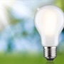 E27 - P 29257 Eco-Line Filament 230V LED žárovka E27 5,7W 3000K stmívatelné mat - PAULMANN - foto 4