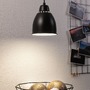 Subtilní - P 79763 Závěsné svítidlo Neordic Hilla 1-ramenné pro osvětlení rostlin černá bez zdroje světla E27 - PAULMANN - foto 4
